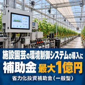 施設園芸の環境制御システム導入に使える補助金｜省力化投資補助金