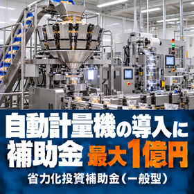 自動計量機導入に使える補助金｜省力化投資補助金