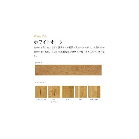 湘南.jpg