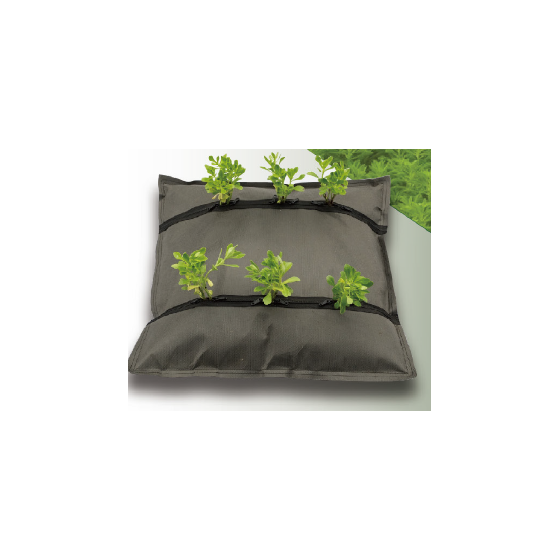 ?Fujita緑化システム 画像.png