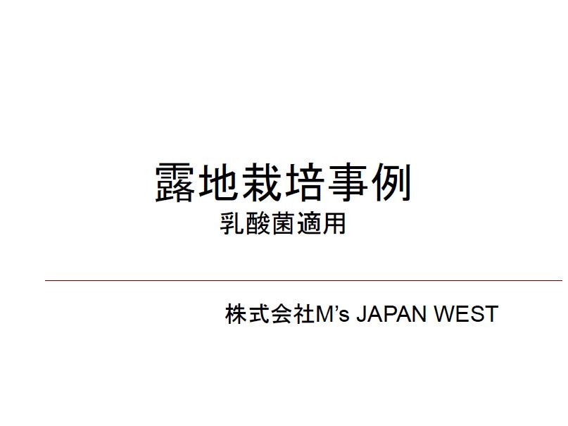 【事例】露地栽培（乳酸菌適用）