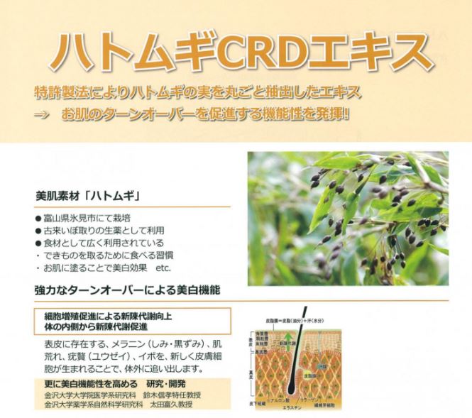 ハトムギCRDエキス　ターンオーバー促進による美容効果が期待！