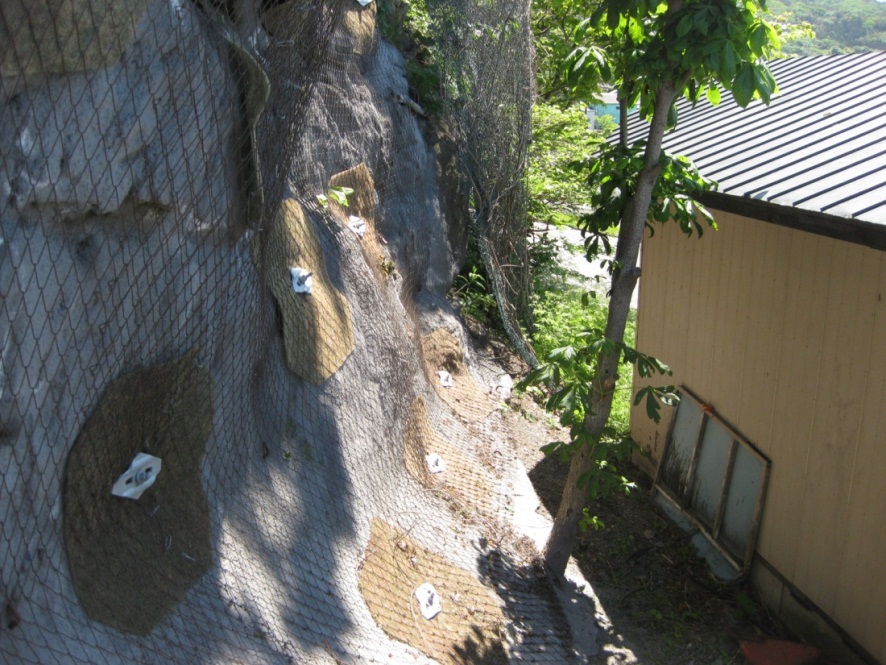 環境へ配慮した耐震性・品質に優れた斜面安定工法『パワーネット』