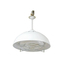 "Eco Taro" Hanging Type Lamp with Guard 150W
