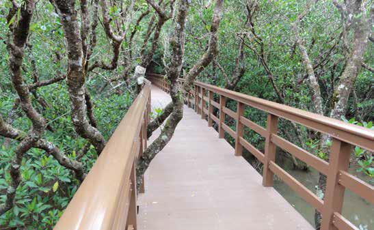 【GRP ボードウォーク】黒潮の森 マングローブパークの施工事例
