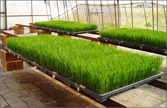 くみあいケミカル