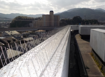 【施工実績】介護施設のハト対策