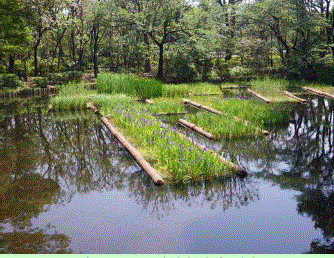 水質改善技術『フェスタ工法』