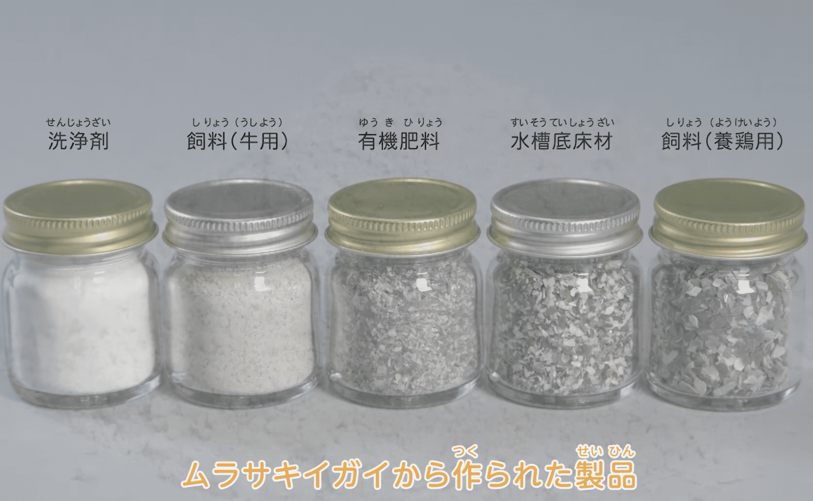 【愛知県環境賞2021優秀賞受賞】貝殻製品製造サービス