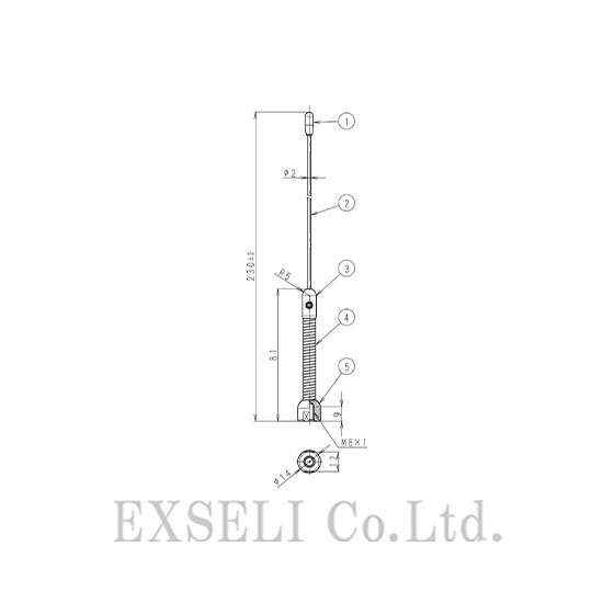 acc_1307515064.jpg