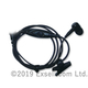 acc_310605821.jpg