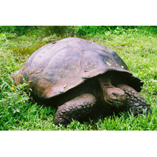 会社概要　業務内容