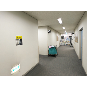 Safety measures: Case study on mirr...