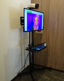 サーモグラフィーシステム『サーもん400』