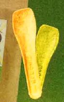 PACOON＜食べられるスプーン＞