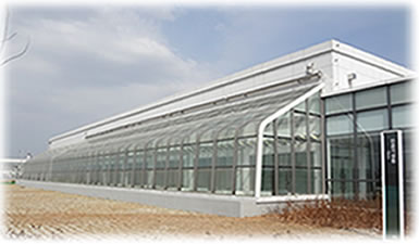 人工気象設備『ファイトトロン』