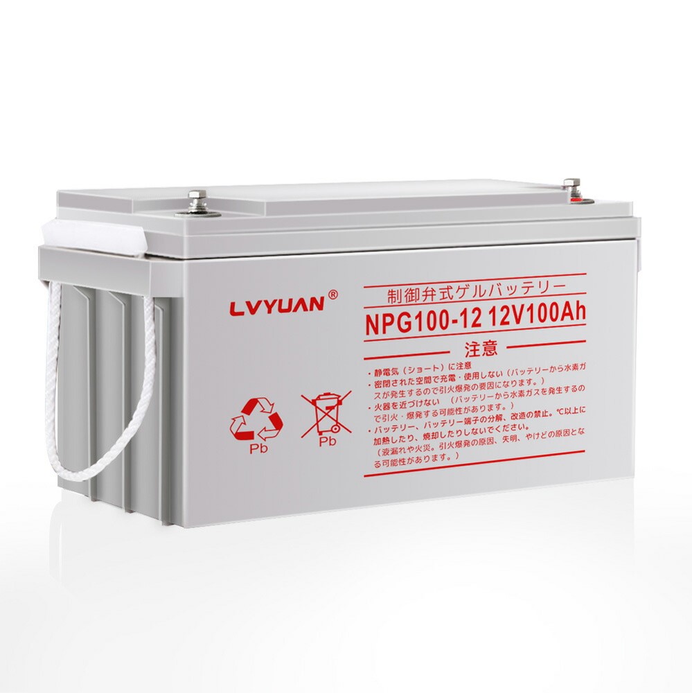 12V高性能VRLA 100Ahバッテリー(完全密封型鉛蓄電池) タイガン | イプロス