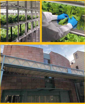 【企業のご担当者様へのご案内】法定雇用率は達成できていますか？