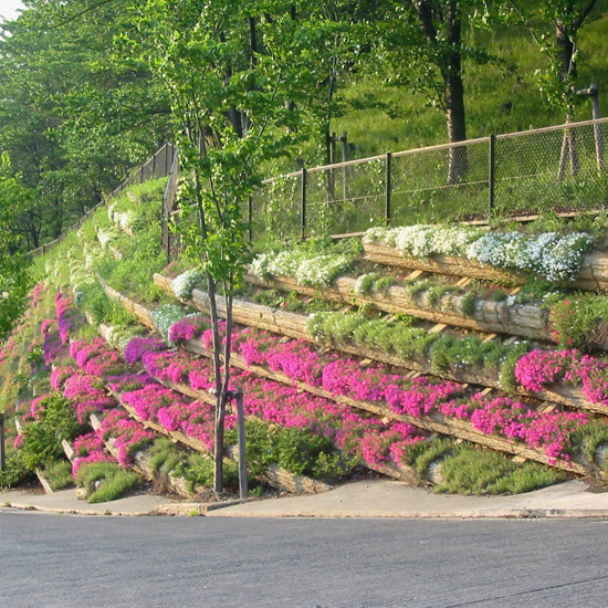 緑化ブロック「グリーンレガロ」