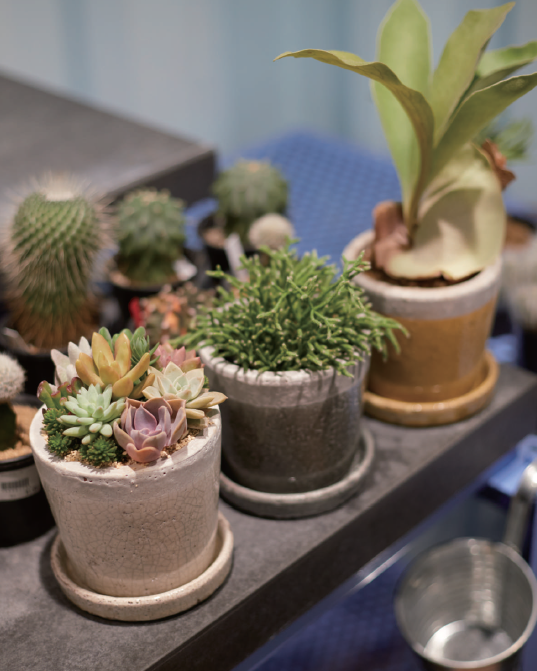 ポット＆ソーサー『CREPA（クレーパ）』