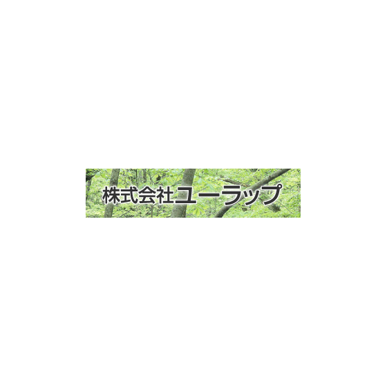 2.PNG