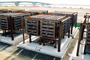 魚礁　JFシェルナース