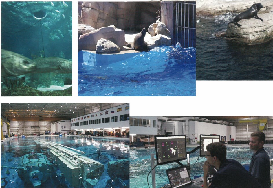 【波ボール・ワオ導入事例】動物園、水族館、各種研究施設