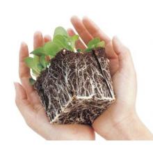 営業活動サポート組織　スプリットプラント