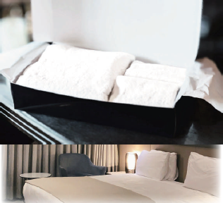 株式会社ネクストインターナショナル 製品紹介