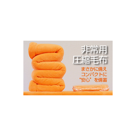 非常用毛布.png