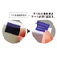 Opening detection label - non-transfer type