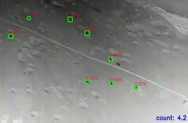 調査サービス『シカ・イノシシの生息域調査』