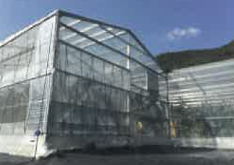 ユニット型　ビニールハウス『THハウス』