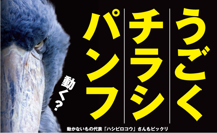 うごくチラシ／うごくパンフ＜簡単動画作成＞