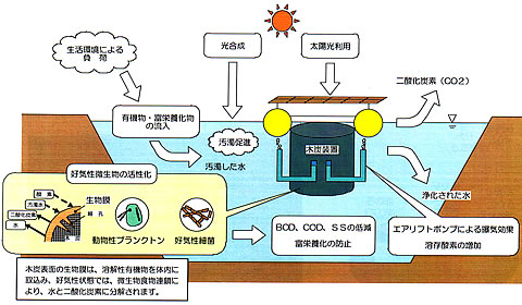 装置「バイオ水質浄化システム」