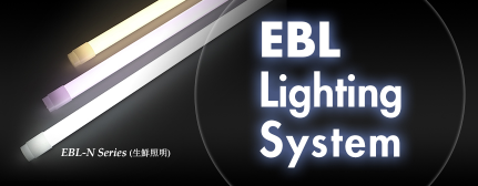 EBL Lighting System