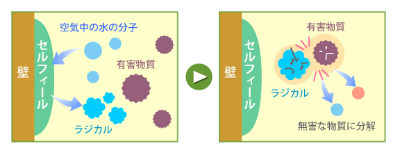 抗ウイルス施工サービス