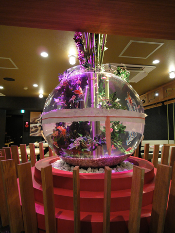 水演出事例【東京都 和食ダイニング様《日本初の巨大金魚鉢》】 アクア