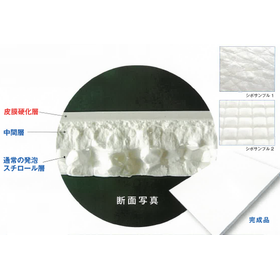 Surface film molded products