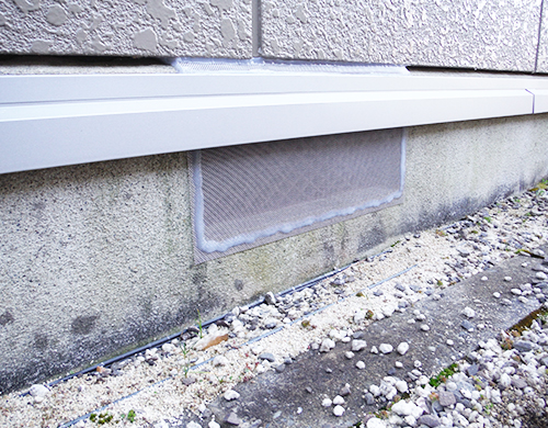 自分でもできるムカデ予防・退治方法