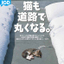 冬でも雪を積もらせない！日本地下水開発が提供する消融雪施設