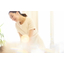 Case studies of introduction in esthetic salons (wireless devices, transceivers, intercoms)