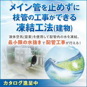 1809_2068229_大勇フリーズ.jpg