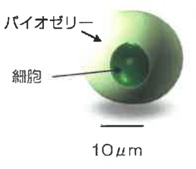 『パラクロレラエキス』