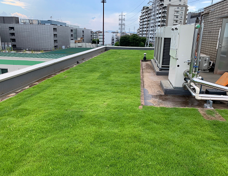 【緑化のメリット】緑化面積を、屋上・折半屋根緑化等で算入