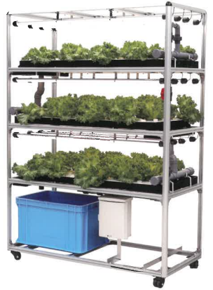 水耕栽培システム『Lino Farm(リノ・ファーム)』