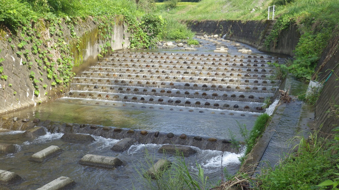 『棚田式魚道』の事例紹介：岐阜県の飛鳥川での魚道設計/工事