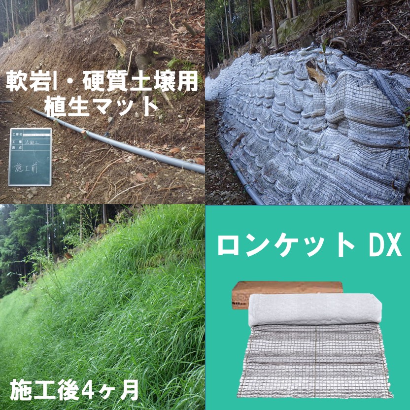 IPROS89018750734290156946.jpeg