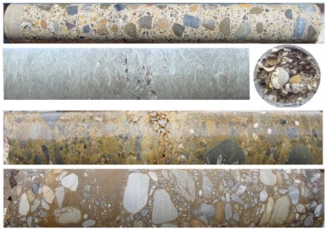 『GPサンプラー』