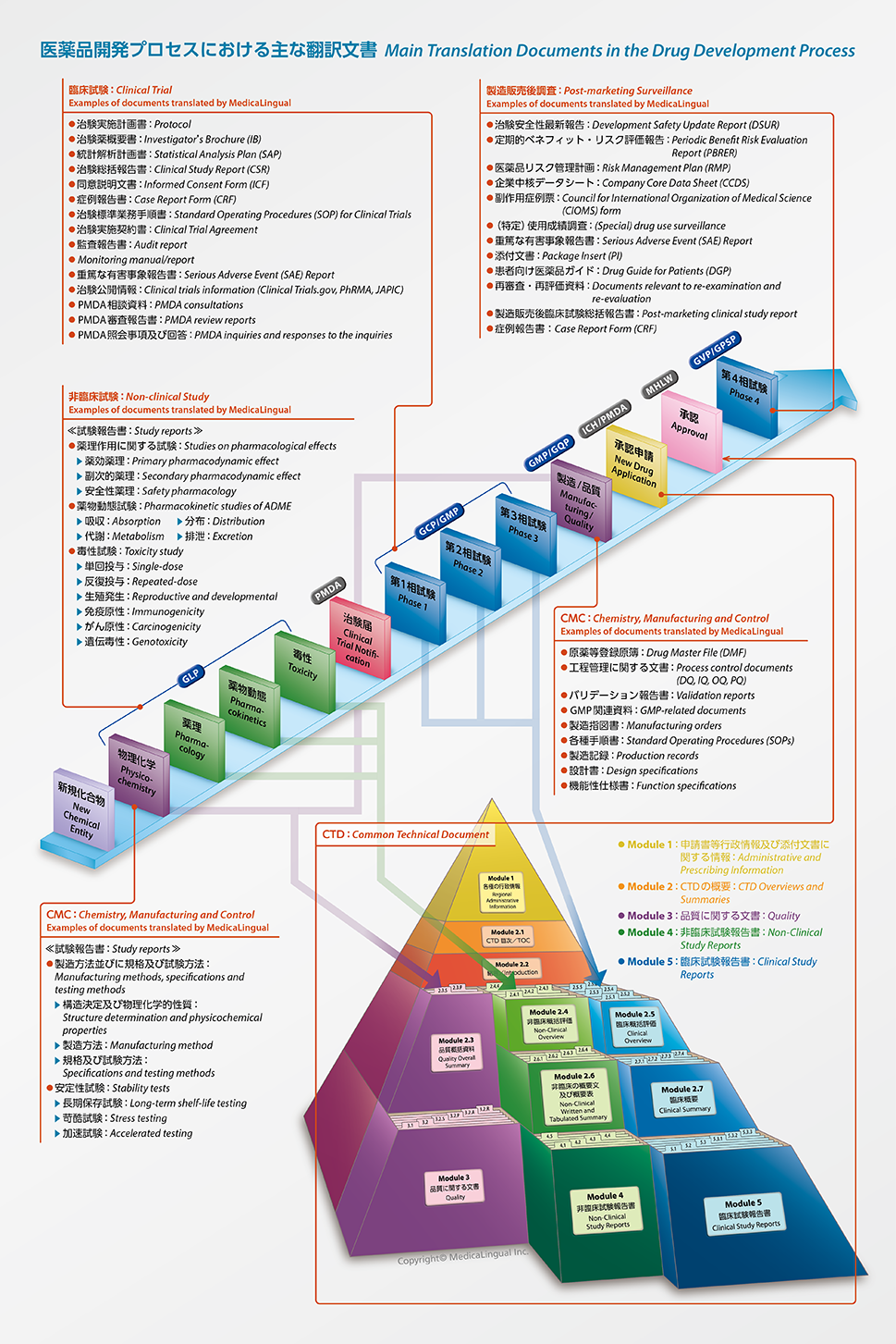 医薬翻訳サービス